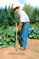 
The science behind companion planting is a little hazy, but some combinations seem to be as beneficial for the plants as they were for the eyes.
